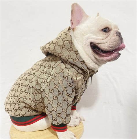 gucci designer dog clothes.